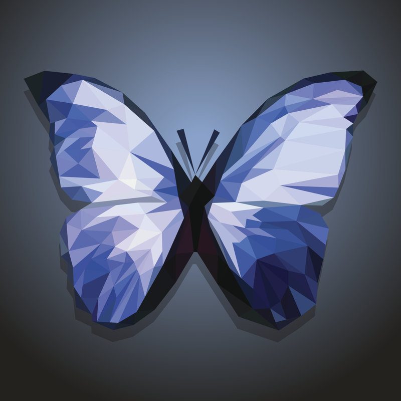 Blue Butterfly - Wrapped Canvas Print, 30cm H x 30cm W x 3.8cm D