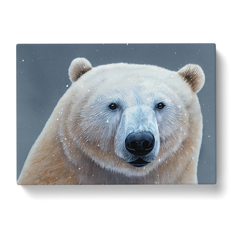 Spectacular Polar Bear - Wrapped Canvas, 35cm H x 50cm W x 3cm D