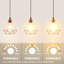 Pamrapo 1 - Light Cluster Pendant-1209535069