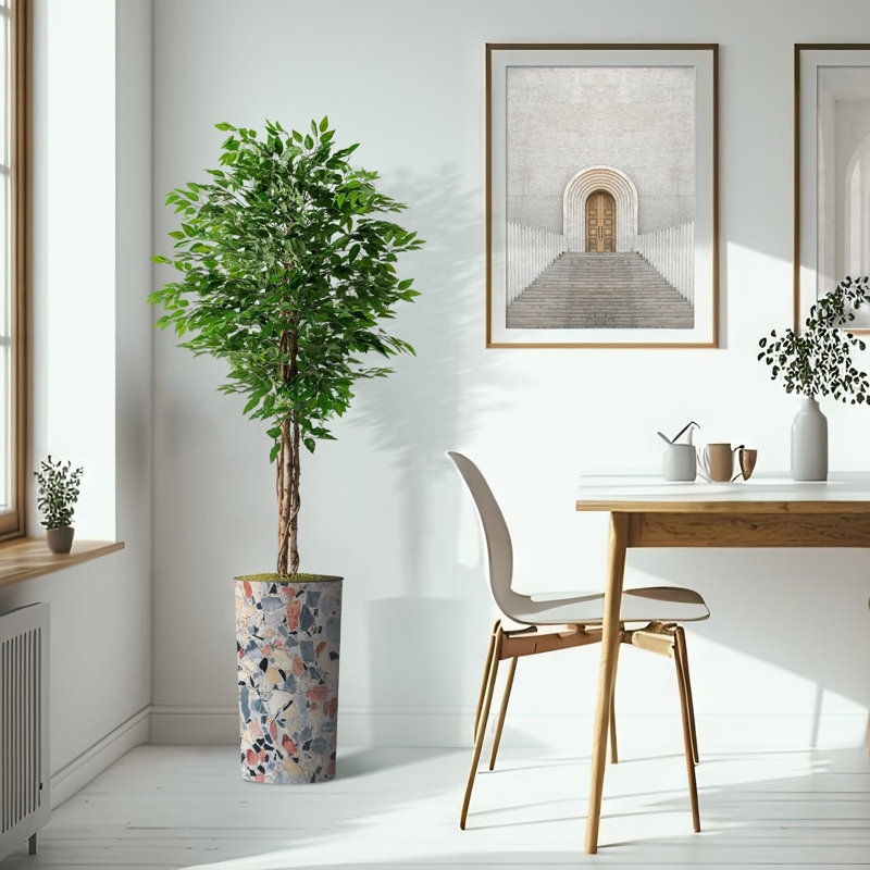 75 plantes, Gris clair, motif géométrique
