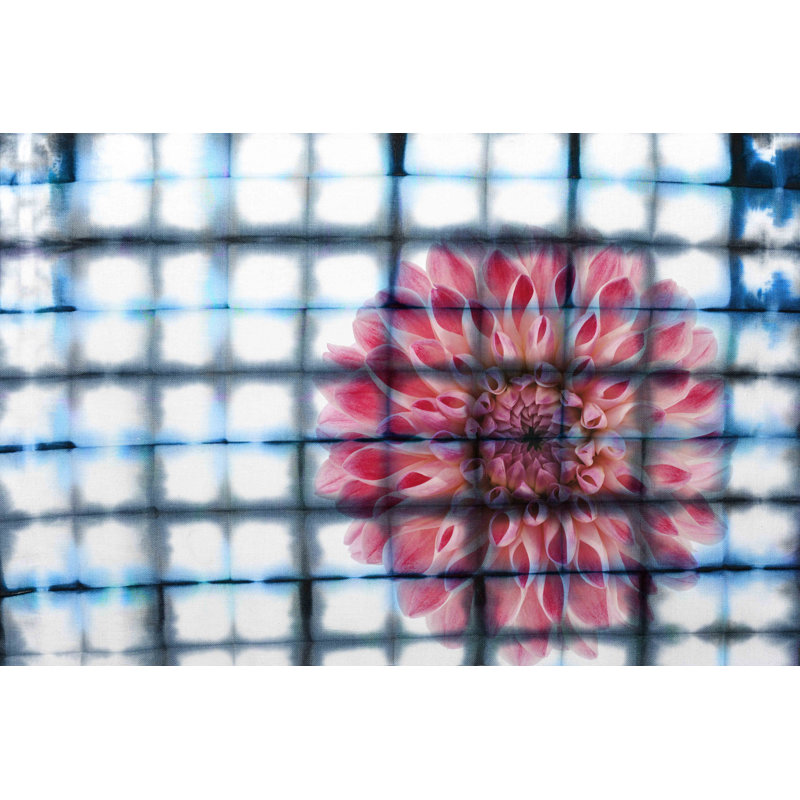 Parvez Taj - Wrapped Canvas Print, 30cm H x 45cm W