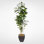 Faux Fiddle Leaf Fig Tree in Metal Planter