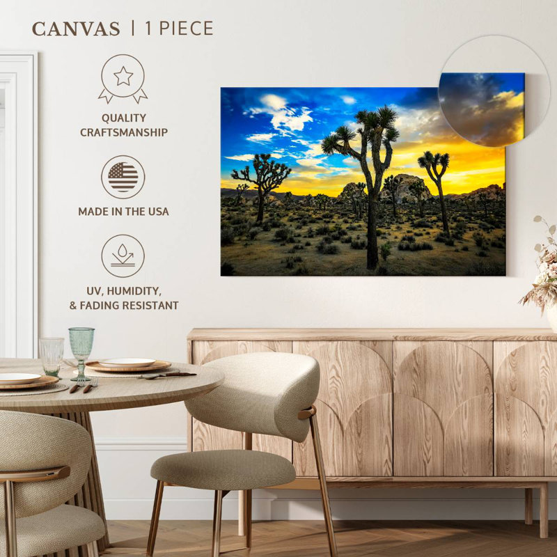 Nicci Joshua Tree Park Desert Vegetation