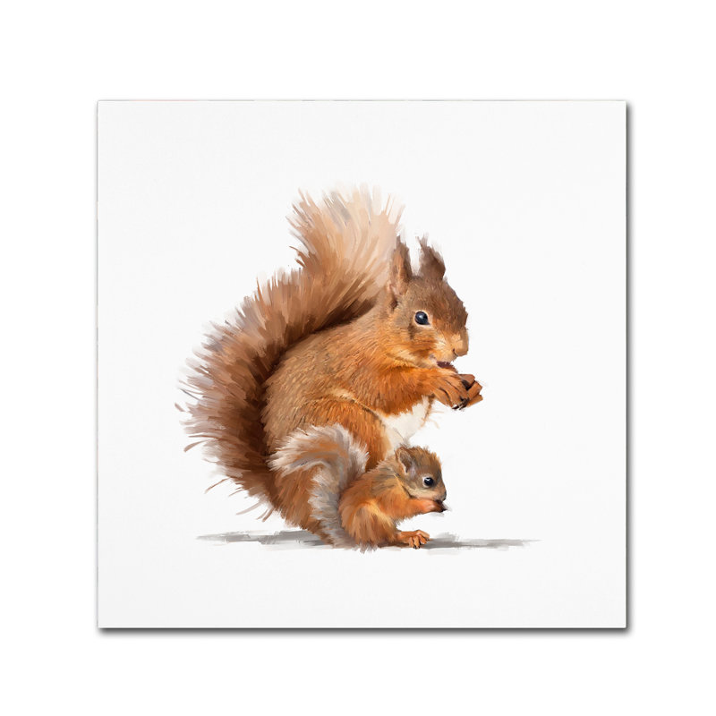 Armand «Squirrel», reproduction sur toile, H 24 po x l 24 po x P 2 po