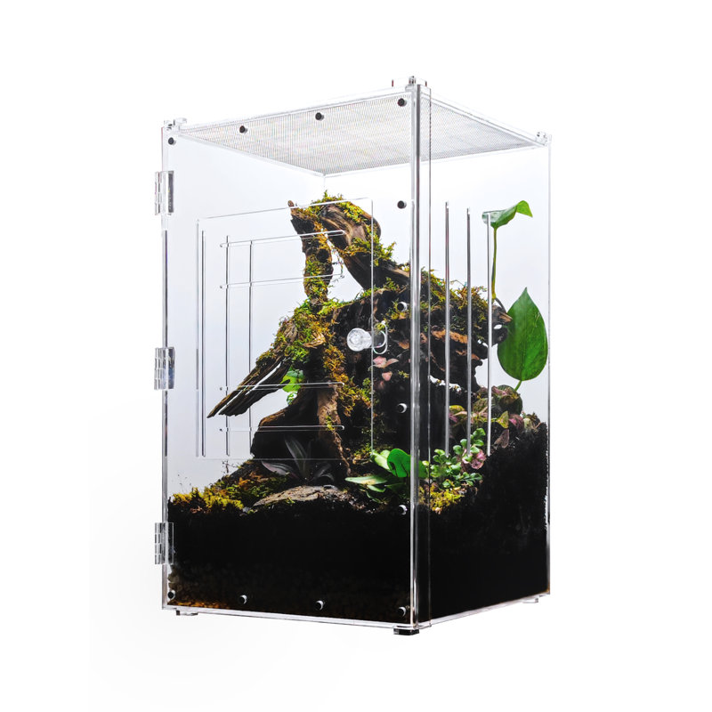 Acrylic Reptile Terrarium, 12 Gallon - 20"H x 12"W x 12"D