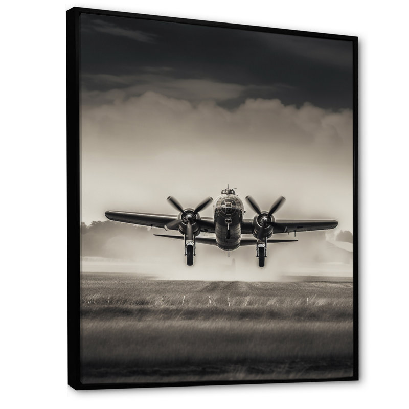 Neavins gris et atterrissage en avion - art mural avion, H 32 po x l 16 po x P 1 po, Cadre flottant noir