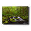 «Where the Green Grows» par Darren White, art mural sur toile-16271704
