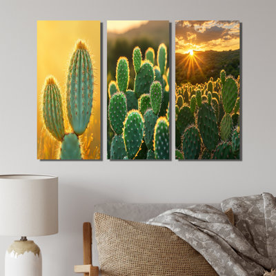 Cactus In The Morning Light I - Floral Cactus Wall Art Collection Set Of 3