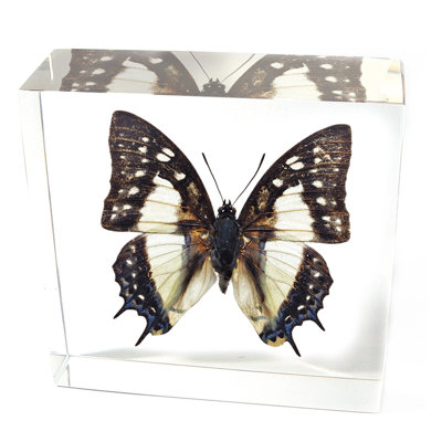 Quiroga Animals Figurines & Sculptures