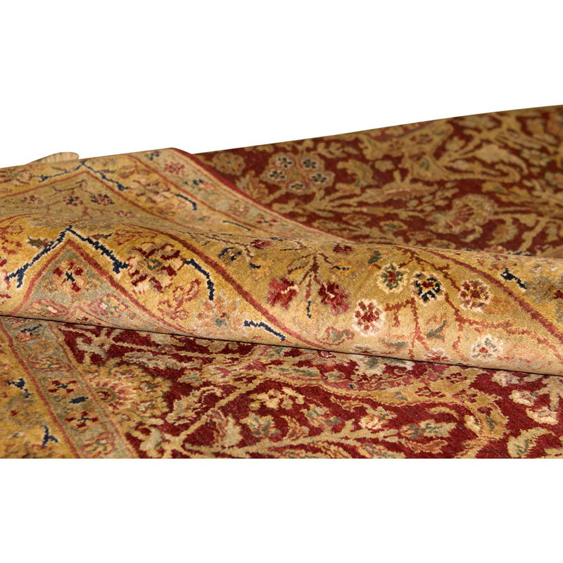 Wool Oriental Area Rug in Gold