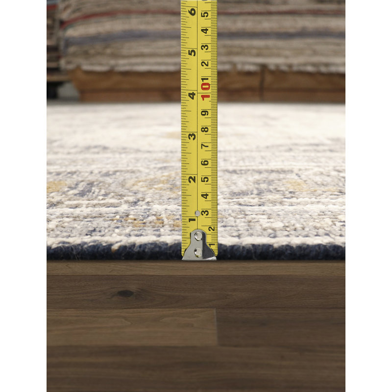 Serapi Hand Knotted Oriental Area Rug in Beige/Yellow/Gray