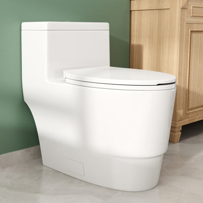 17" ADA Comfort Height Dual-Flush Toilet Modern Elongated One-Piece Toilet for Floor Mounted Glazed Surface (Seat Included)