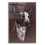 «Ibizan Hound» par Barbara Keith, impression sans cadre-1860664789