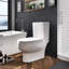 Beverly Two-Piece Dual Flush Elongated Toilet in White (Seat Included)