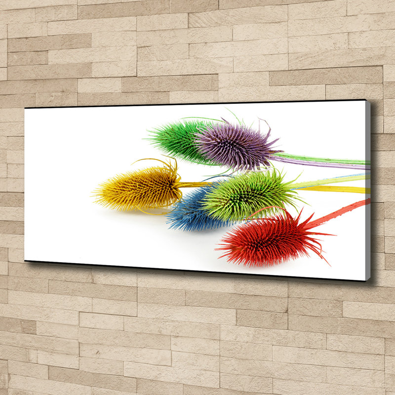 Thistle - No Frame Print on Glass, Canvas, 50cm H x 125cm W x 2cm D