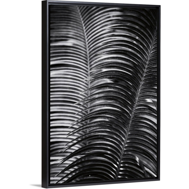 Art mural tropical III, H 32 po x l 22 po, Toile avec cadre noir