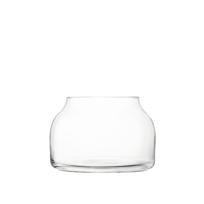 Handcrafted Glass Indoor Terrarium