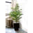 Areca Palm Artificial Tree with Black Planter-33118718-33118716