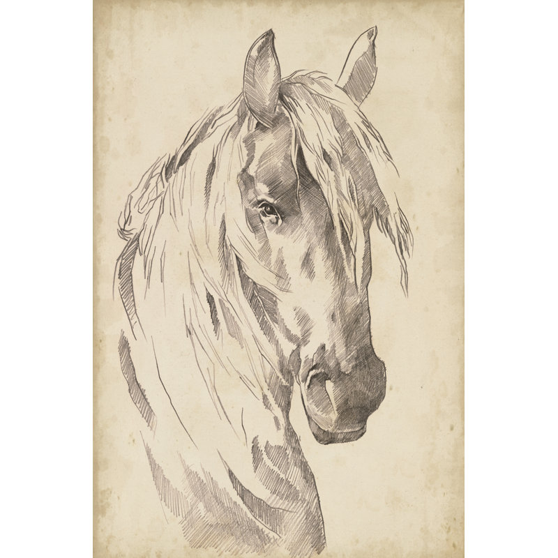 Croquis de portrait de cheval I, H 18 po x l 12 po x P 1 po