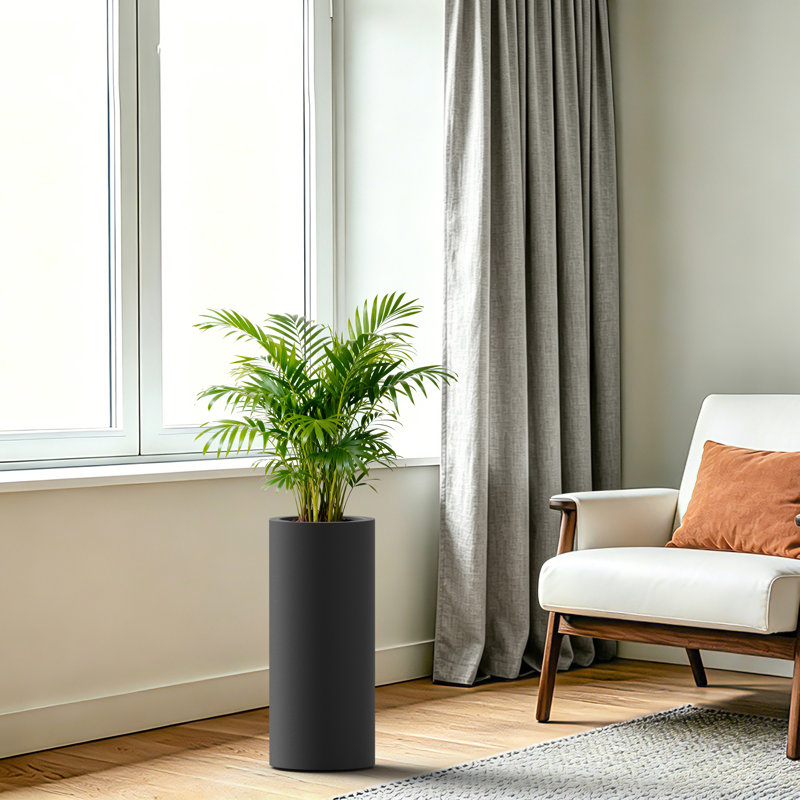 Pot à fleurs en ciment Modern Modern, 18.9" H x 8.27" W x 8.27" D, Dark Charcoal