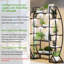 Plant Stand with Grow Lights 