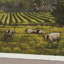 Marcella View I By Studio