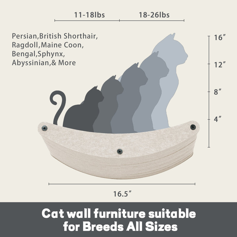 Étagères murales pour chat Mobilier pour animaux de compagnie pour chats, système mural d'escalade en PET pour grimper, jouer et se reposer (beige)