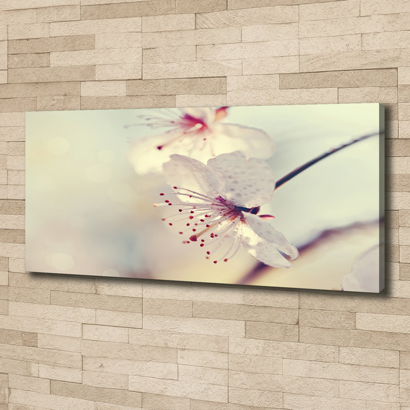 Cherry Blossom - No Frame Print on Canvas