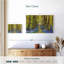 Forêt des jacinthes-107859554