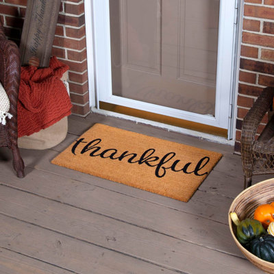 Non-Slip Outdoor Doormat