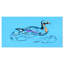 Canard - croquis d'animaux-29496104-35111688