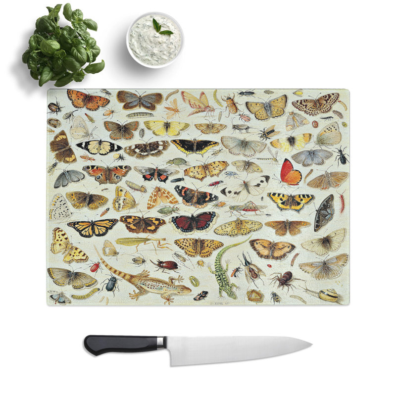 Butterflies and Insects Vol.1 by Jan Van Kessel Chopping Board, 0.4cm H x 28.5cm W x 39cm L