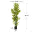 Artificial Bamboo With Pot