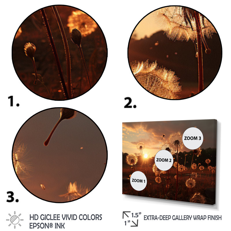Pissenlit, art mural sur toile, Reproduction de nature champ coucher de soleil - Champ de pissenlit coucher de soleil I