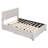 Full Size Upholstered Platform Bed with 2 Drawers and 1 Twin XL Trundle, Classic Headboard Design, Beige-1530428726-1530428724