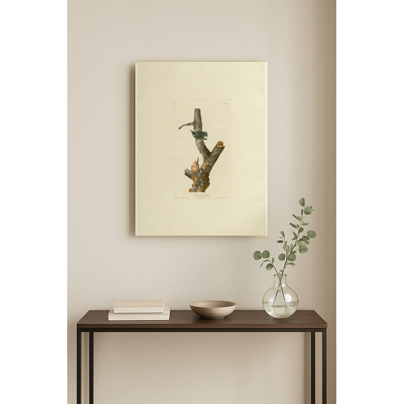 Sittelle à poitrine rousse (Planche 105) — Portrait en métal, 14" H x 11" W