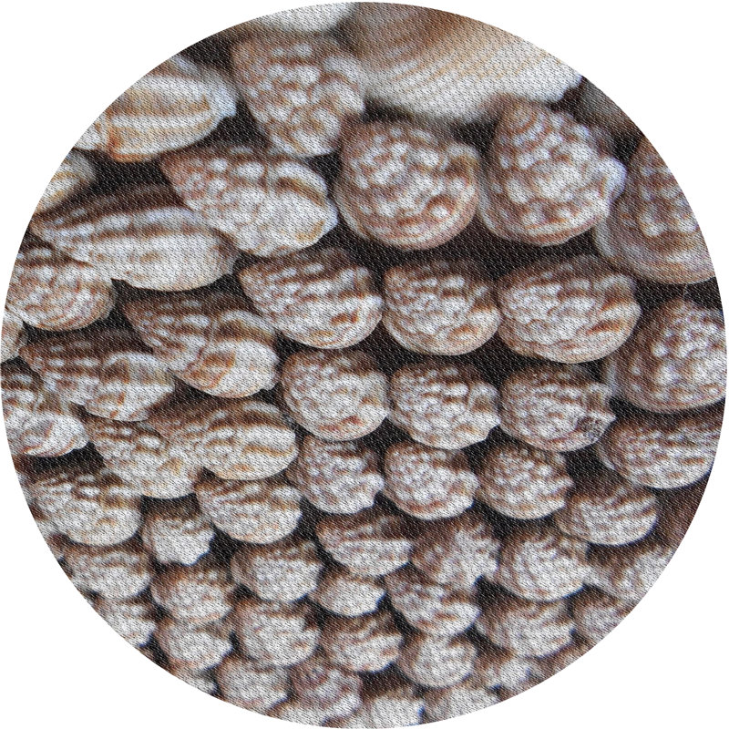 Tapis de zone brune à motifs, Rond 3 pi