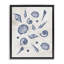 Cadre flottant à motif de coquillages variés, design par Jacob Q-1191752570-1191752569