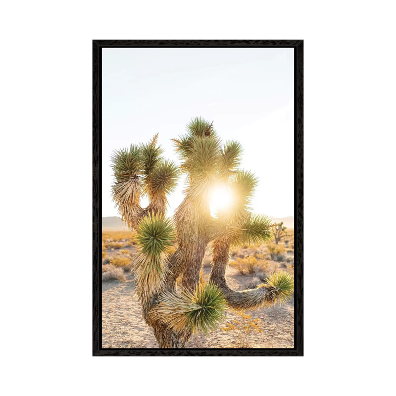 Joshua Tree Sunrise 1 Piece Wall Art on Canvas, 101.6cm H x 66.04cm W x 3.81cm D, Black Framed