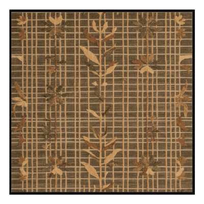 Machine Washable Nature Brown Area Rug