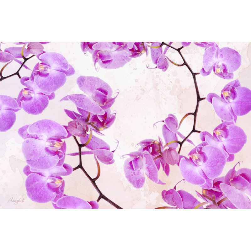 Fluttering Orchid II by Roozbeh - Wrapped Canvas Print, 20cm H x 30cm W