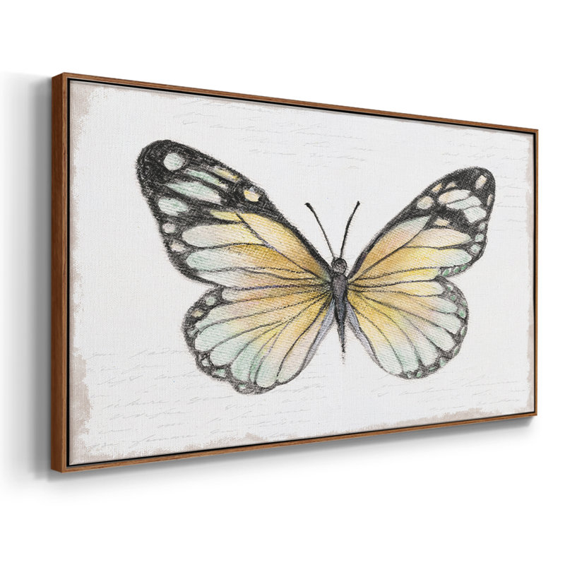 «Vintage Flutter II», toile tendue avec châssis encadré, prête à être accrochée, H 21 po x l 41 po, Noyer