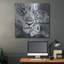  «Lioness» par Britt Hallowell, art mural en métal, 36 po x 36 po-514499113