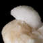 Fleurs centrées de Scolecite sur Stilbite rose