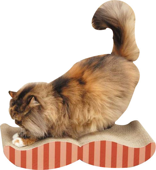 Rowlett Scratching Post