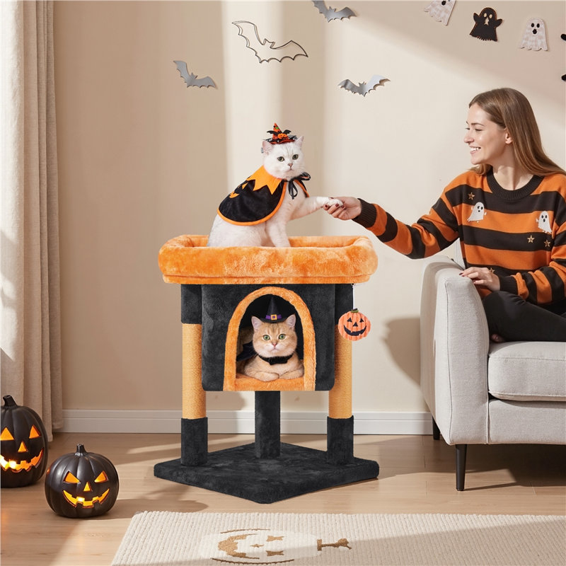 Arbre à chat 23 po, Black/Pumpkin Orange