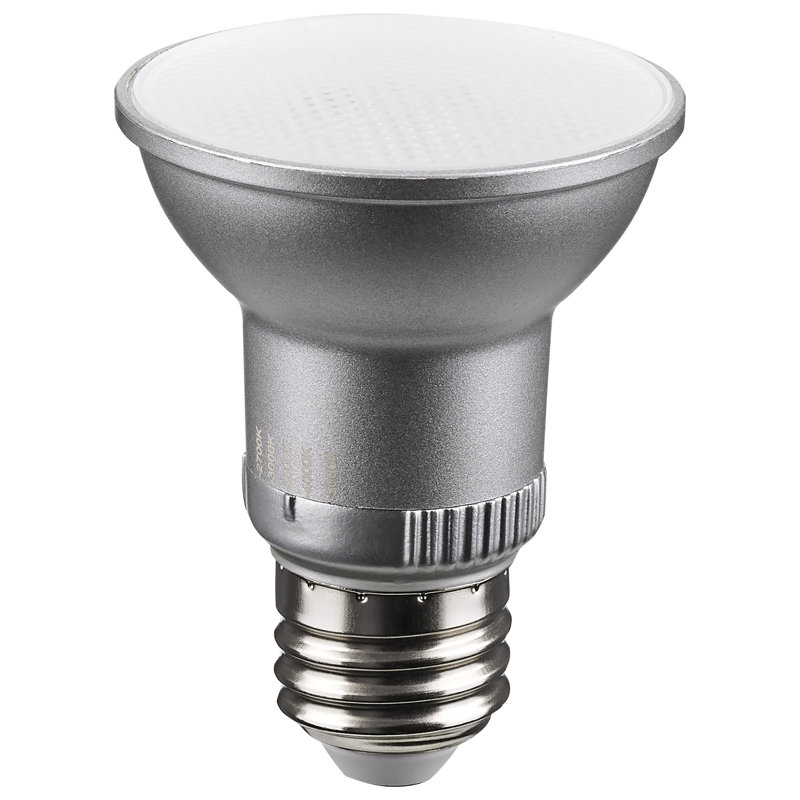5.5 Watt Gray LED Bulb