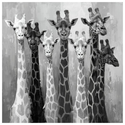 Rideaux de douche monochromes extra longs