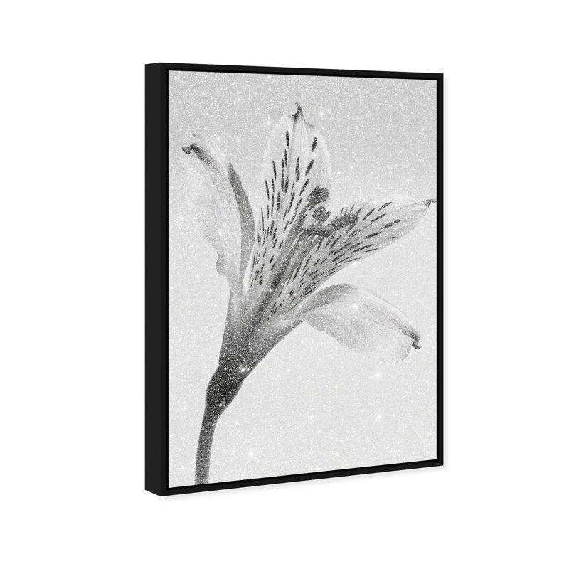 Delicate Spots Print by Oliver Gal, 31"H x 46"W, Black Floater Frame
