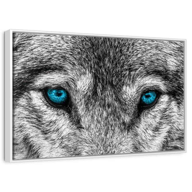 Loup frais, Cadre flottant blanc, 37 po x 25 po